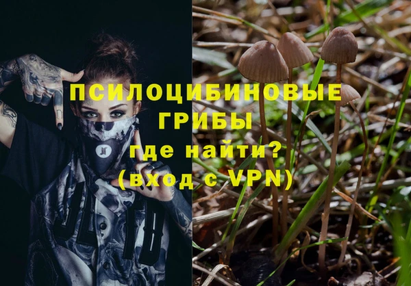 амфетамин Белокуриха