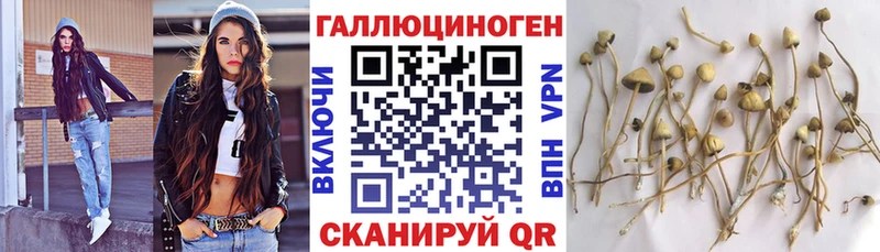 Галлюциногенные грибы мицелий  наркотики  Чекалин 